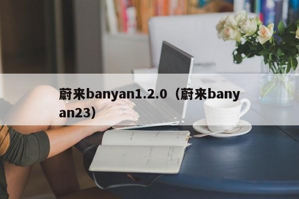 蔚来banyan1.2.0（蔚来banyan23）