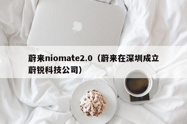 蔚来niomate2.0（蔚来在深圳成立蔚锐科技公司）