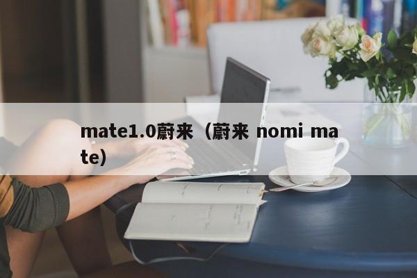 mate1.0蔚来（蔚来 nomi mate）